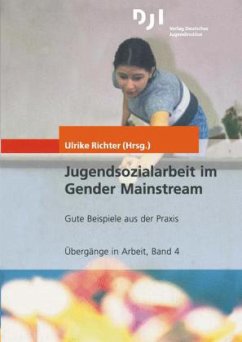 Jugendsozialarbeit im Gender Mainstream - Richter, Ulrike (Hrsg.)