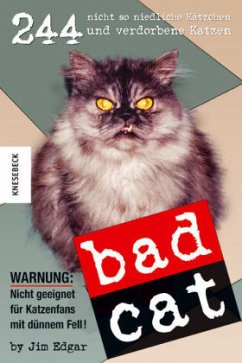 Cover Bad Cat
