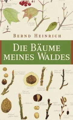 Die Bäume meines Waldes - Heinrich, Bernd