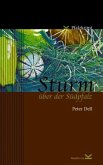 Sturm über der Südpfalz / Phillip Sturm Bd.2