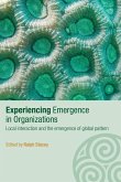 Experiencing Emergence in Organizations