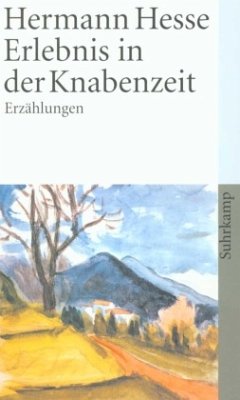 Erlebnis in der Knabenzeit - Hesse, Hermann