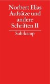 Aufsätze und andere Schriften / Gesammelte Schriften 15, Tl.2
