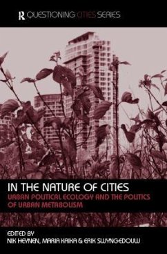 In the Nature of Cities - Swyngedouw, Erik / Kaika, Maria / Heynen, Nikolas (eds.)
