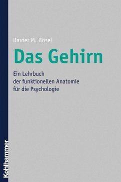 Das Gehirn - Bösel, Rainer M.