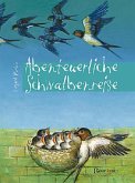 Abenteuerliche Schwalbenreise