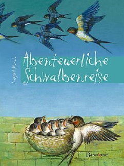 Cover Abenteuerliche Schwalbenreise
