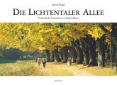 Die Lichtentaler Allee