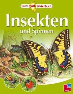 Insekten und Spinnen - Harris, Rachel