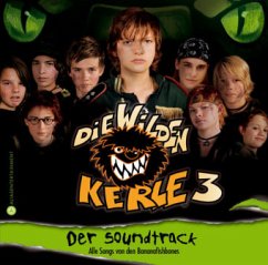 Die Wilden Kerle, Der Soundtrack