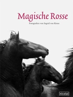 Cover Magische Rosse