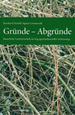 Gründe, Abgründe - Heindl, Bernhard; Groeneveld, Sigmar