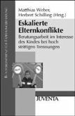 Eskalierte Elternkonflikte