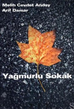 Yagmurlu Sokak - Anday, Arif; Damar, Melih