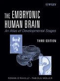 The Embryotic Human Brain