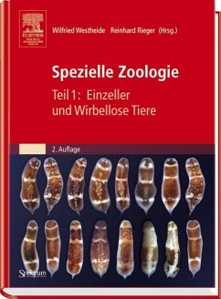 Spezielle Zoologie. Teil 1: Einzeller und Wirbellose Tiere - Westheide, Wilfried / Rieger, Reinhard