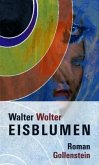 Eisblumen Eisblumen