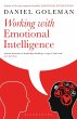 Working with Emotional Intelligence - Bild 1