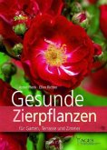 Gesunde Zierpflanzen für Garten, Terrasse und Zimmer