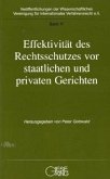 Effektivität des Rechtsschutzes vor staatlichen und privaten Gerichten