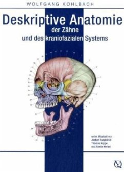 Deskriptive Anatomie der Zähne und des kraniofazialen Systems - Kohlbach, Wolfgang
