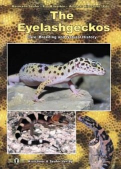 The Eyelash Geckos - Boone, Jon;Holfert, Tino;Seufer, Hermann