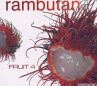 Fruit 4-Rambutan - Bild 1