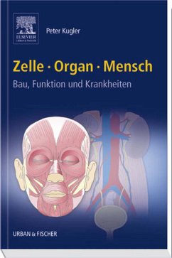 Zelle Organ Mensch - Menche, Nicole / Kugler, Peter