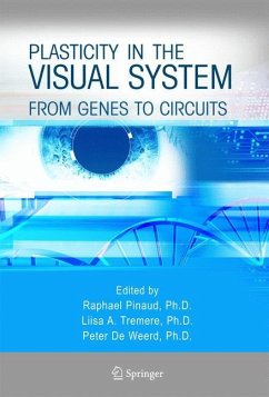 Plasticity in the Visual System - Pinaud, Raphael / Tremere, Liisa A. / De Weerd, Peter (eds.)