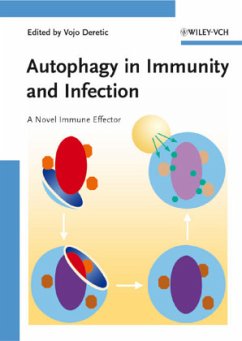 Autophagy in Immunity and Infection - Deretic, Vojo (Hrsg.)