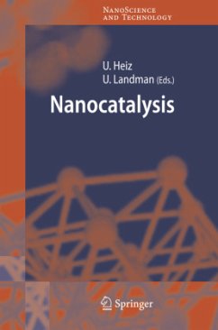 Nanocatalysis - Heiz, Ulrich / Landman, Uzi (eds.)