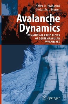 Avalanche Dynamics - Pudasaini, S. P.;Hutter, K.