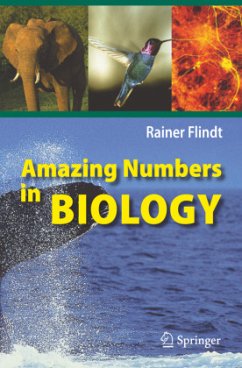 Amazing Numbers in Biology - Flindt, Rainer