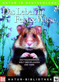 Cover Das Leben in Feld & Wiese