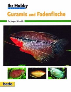 Ihr Hobby Guramis und Fadenfische - Schmidt, Jürgen