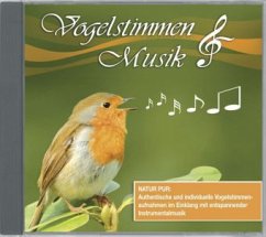 Vogelstimmen & Musik