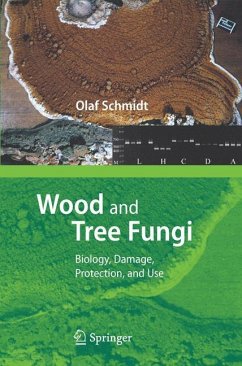 Wood and Tree Fungi - Schmidt, Olaf