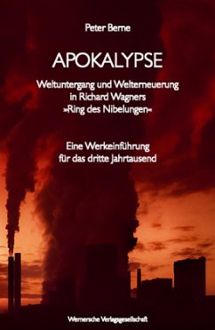 Apokalypse, m. Audio-CD - Berne, Peter