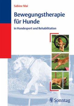 Bewegungstherapie für Hunde - Mai, S.