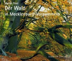 Der Wald in Mecklenburg-Vorpommern - Thiel, Walter