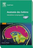 Anatomie des Gehirns 3.0, 1 CD-ROM