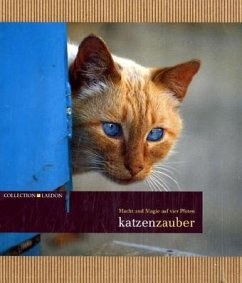 Cover Katzenzauber, m. Kaffeebecher