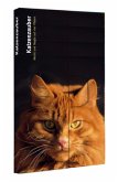 Katzenzauber