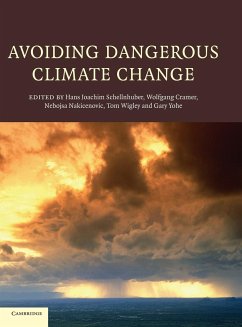 Avoiding Dangerous Climate Change - Schellnhuber, Hans Joachim / Cramer, Wolfgang / Nakicenovic, Nebojsa / Wigley, Tom / Yohe, Gary (eds.)