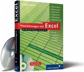 Praxislösungen mit Excel, m. CD-ROM