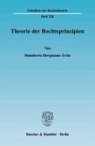 Theorie der Rechtsprinzipien