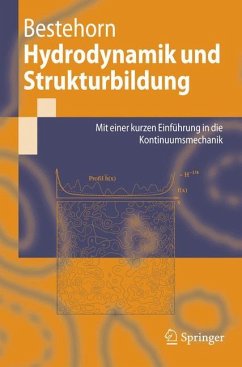 Hydrodynamik und Strukturbildung - Bestehorn, Michael