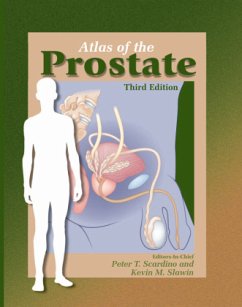 Atlas of the Prostate - Downing, C. (ed.) / Vetter, W. (Director)