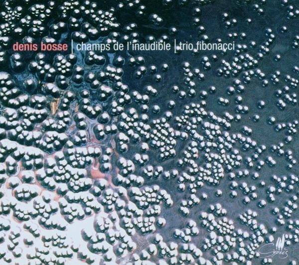 Champs De L'Inaudible