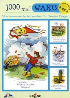 Cover 1000 mal Warum